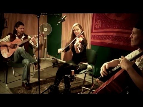 Wild Strings Trio - live