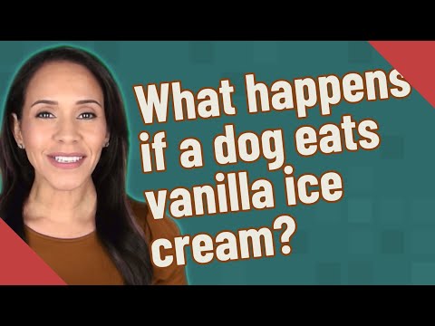 YouTube video about: Why give a dog vanilla ice cream after a seizure?