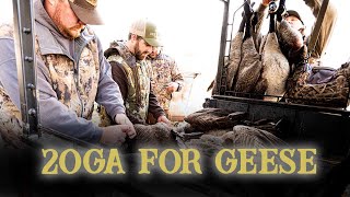 20ga for waterfowl
