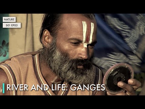 River and Life: Ganges