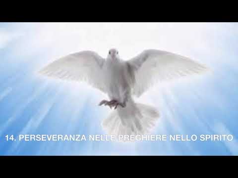 PERSEVERANZA NELLE PREGHIERE NELLO SPIRITO