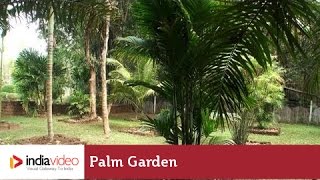 Palm Garden in Nilambur