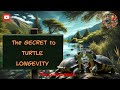 The SECRET To TURTLE LONGEVITY Why Do They Live So Long