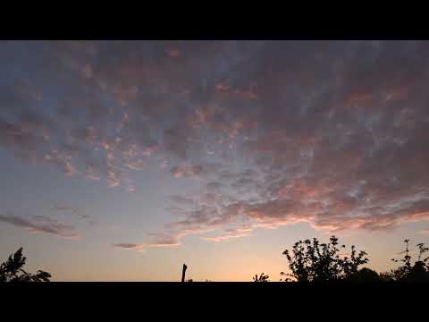 Dimineata de vara   2021 Ivesti , jud  Vaslui,1