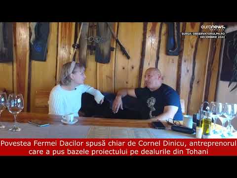 Cine este Cornel Dinicu, patronul complexului Ferma Dacilor
