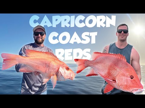 *CAPRICORN COAST*FINDING RED EMPEROR- NANNYGI- CORAL TROUT