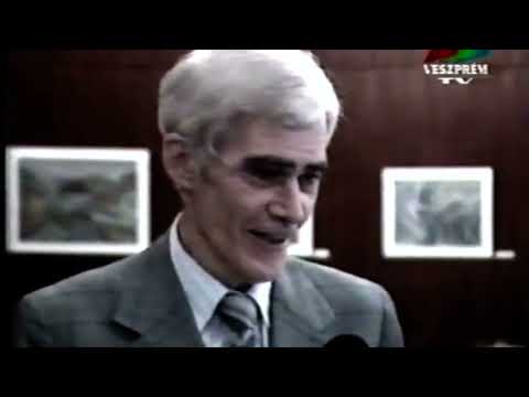 1995 Kép a képben tudósítás