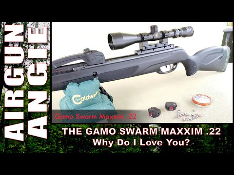 GAMO SWARM MAXXIM 22 – Why Do I Love You?