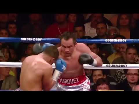 Juan Manul Marquez vs Juan Diaz 1 Fight Highlight
