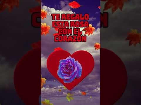 La Primera Rosa De Octubre Para Ti. Feliz Inicio De Mes. Bienvenido Octubre 2021
