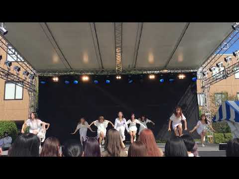 191026 TWICE(트와이스) Dance The Night Away dance cover