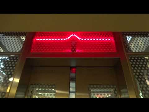 Chewbacca! Super-Loud Dover Hydraulic Elevators  - Garden City, NY