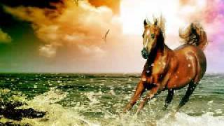 On walks the  night~Jesse Cook