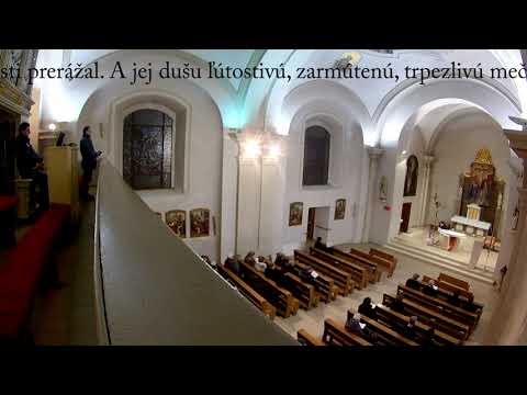 JKS 145 - Mária, Matka bolestná