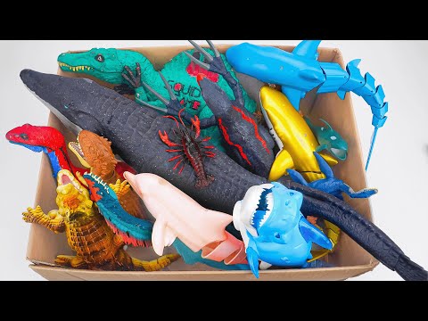 [🐳Toy asmr🐳] RC Mosasaurus & Hammer Shark & Crocodile & Aquarium ASMR Satisfying with Unboxing