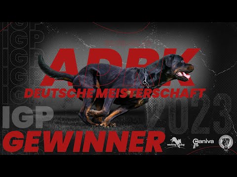 ADRK 71. Deutsche Meisterschaft 2023 // Winner // Working-Dog // Luis vom Eisernen Kreuz