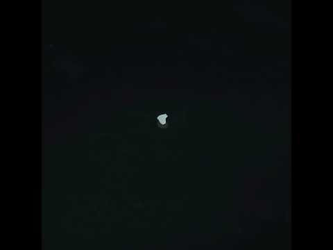 YouTube 썸네일
