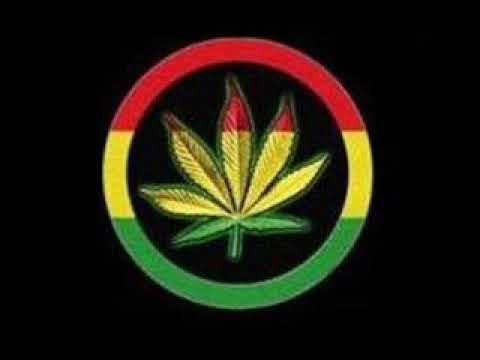 Black Rose - Dub Dynasty & Ras Tinny