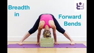 Use Breadth to Improve your Forward Bends - Iyengar Yoga for Beginners