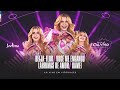 Joelma Beija Flor Você Me Enganou Lágrimas De Amor Gamei DVD Vitória