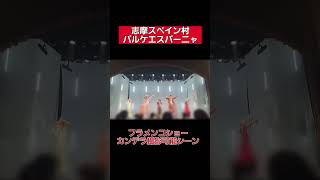 【志摩スペイン村パルケエスパーニャ】フラメンコショー『カンデラ』フォトタイム