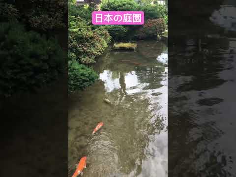 bassin-jardin-artisanal-forme-cascade-rochers-roue-déco