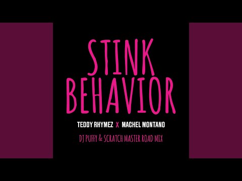 Stink Behavior (DJ Puffy & Scratch Master Road Mix)