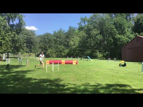 Daniel Walz Opening Sequenz