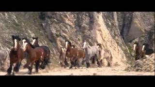 Krull - Good Bad Flicks