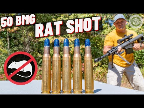 50 BMG RAT SHOT !!! 🐀