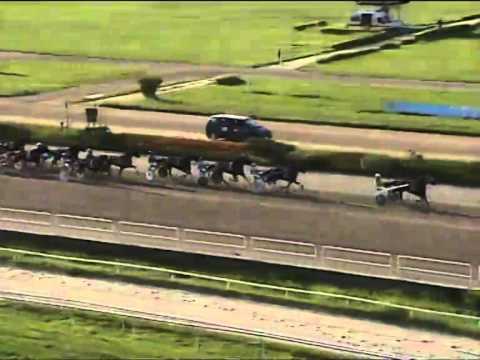 Trotto 29/05/2014 Corsa 8 - TRIS