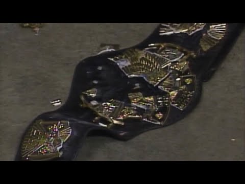 Mr Perfect destroys the WWF championship