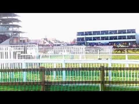 First time around in the four miler..Cause of Causes is out the back..