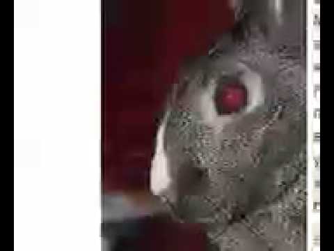 What Motivates Jane and Nathan