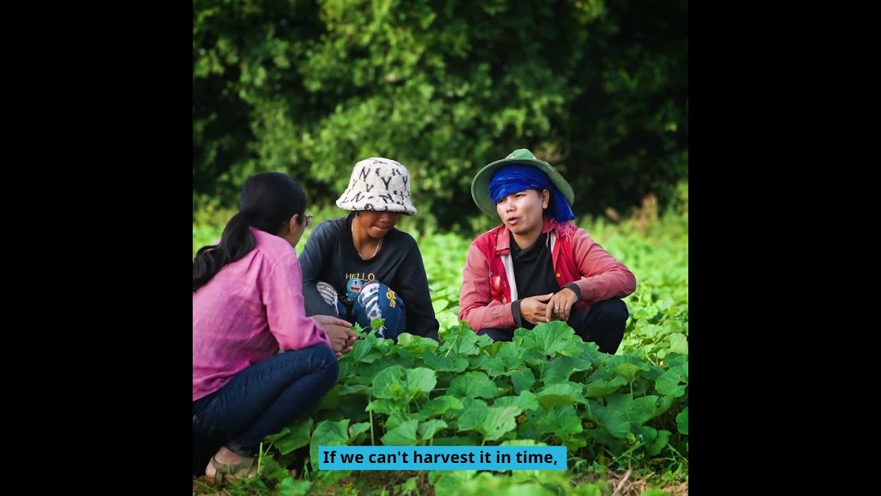 4.កែខៃរបបអាហារខ្ញុំ | Fix My Food