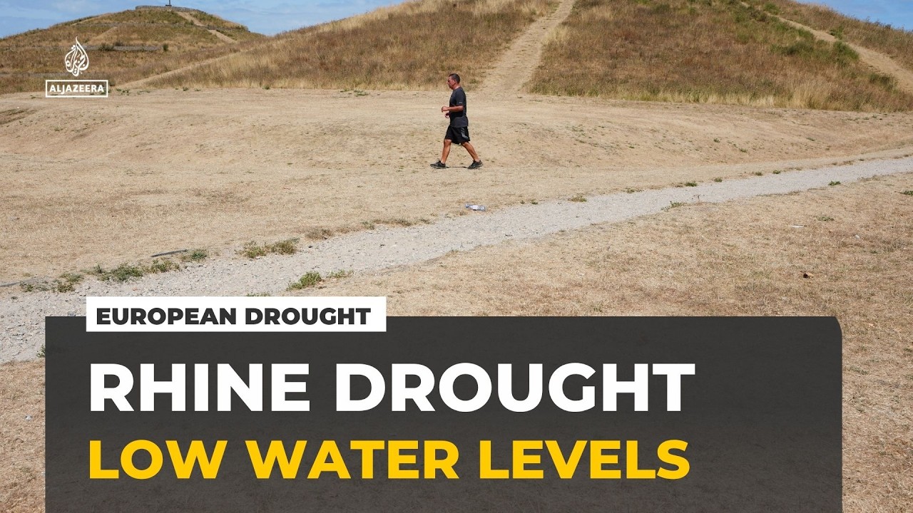 Drought disrupts Rhine shipping route: Low water levels threaten Europe's supply chains