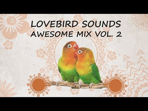Lovebird Sounds - Awesome Mix Vol. 2