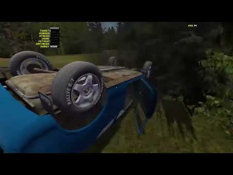 Typical my summer car