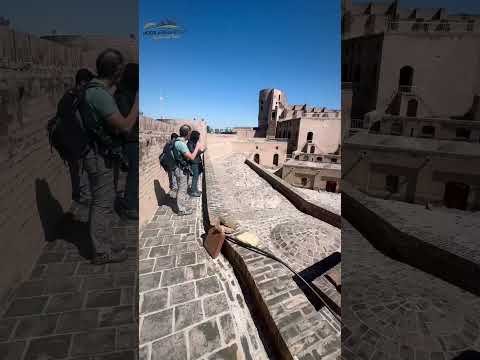 Exploring the Historic Citadel of Herat