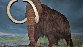 5 Extinct Animals That May Still Exist