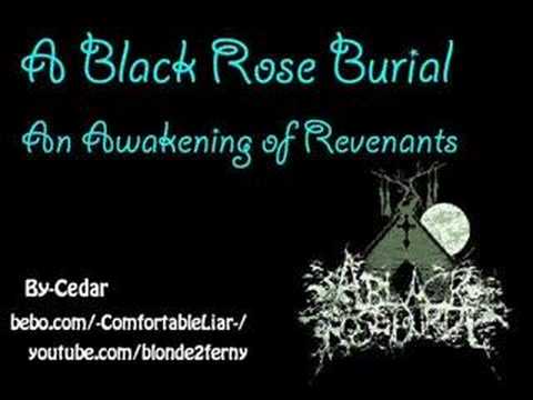 A Black Rose Burial