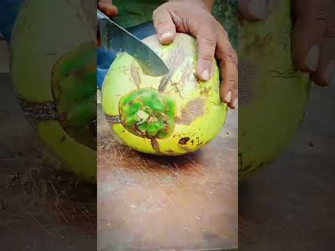 So Satisfied Coconut Cutting😋#shorts#satisfying