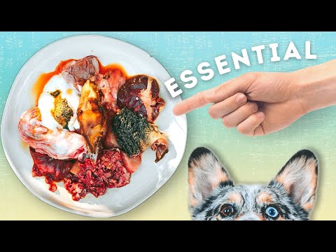 The ULTIMATE Guide To How To Add Essential Nutrients To Your Pet's Raw Meal