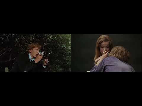 JOLTED IMAGES - Blow-Up (1966)