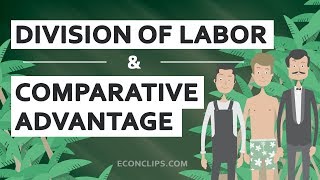 👨🌾👨🍳👨⚕️ Division of Labor and Comparative Advantage | Free Trade