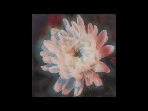 K.K. Null – Absolute Heaven (1993)