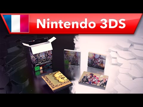 Édition spéciale (Nintendo 3DS)