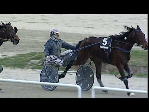 Napoli Trotto 03/03/2023 - 3ª corsa