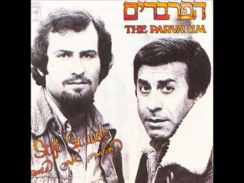 הפרברים - החולמים אחר השמש