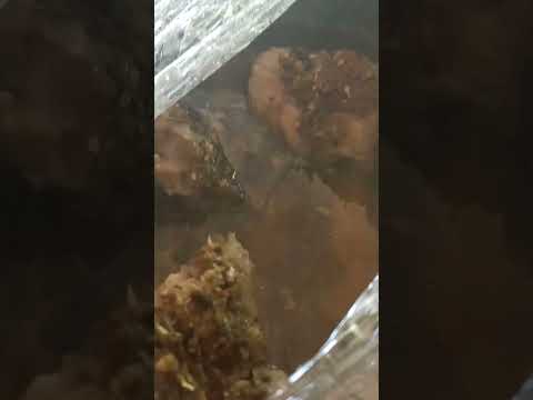 echo en horno solar de Mercedes Soriano Uruguay